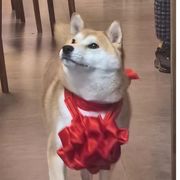 一米八还这么鹹
