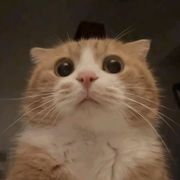 不会玩游戏的小铭
