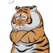我叫猫无敌