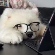 西瓜鲜橙汁