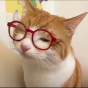 不想说话的好人