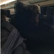 嘿嘿嘿