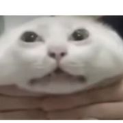 神秘