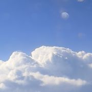 花落无声