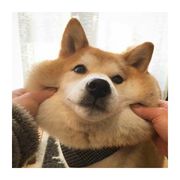 柒月赏乐