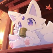 流浪的猫猫一