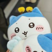 科科科科科科科科