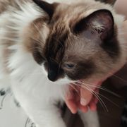 小赵小赵同学