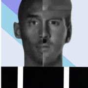 梧桐树下一只喵