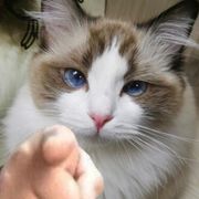 被指到的人去画画