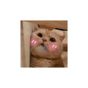 为帝君献上三连