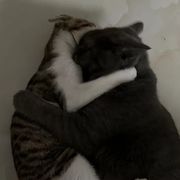 辞