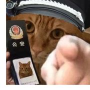 轻点好吧