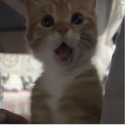 ⁢⁢⁣⁣⁢⁢⁣⁣⁢⁢⁣⁣⁢