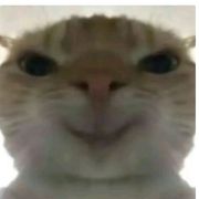 梦比优