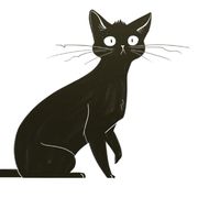 消失的韦尔帕沃