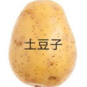 马铃薯