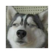 爱跑调的痴音男