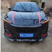 丶叶子