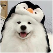 唯独清风是一瞬。