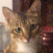 32246569@Social