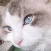 我想先吃饭可以吗