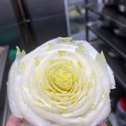 翻斗花园胡图图