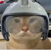 学长老季