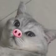 晓烟