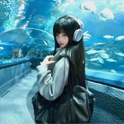 以上
