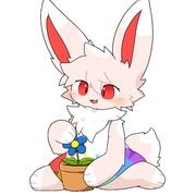 孔明灯二姐秋杰