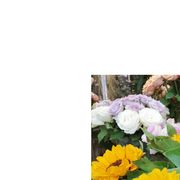 手机用户60607226