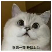 无人懂.