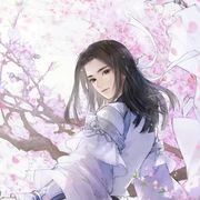 苏轻罗