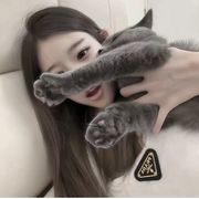 一颗泪 
