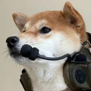晟之命运