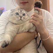 橙子的游戏日记