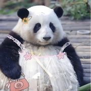 福贝勒