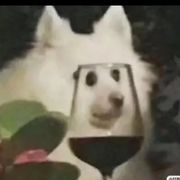 你个老六