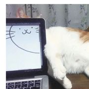 续火花