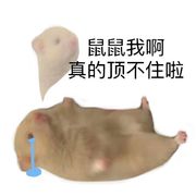 畅南