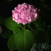 小婷