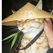 一团糟