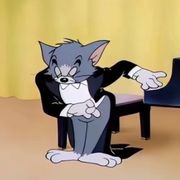 薛定谔的猫