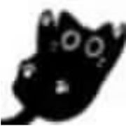 一般路过小饼干