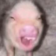 大胃袋