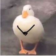 十三香仙贝