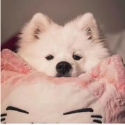 甜