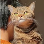 云烟没有好心眼