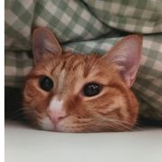 彼泽